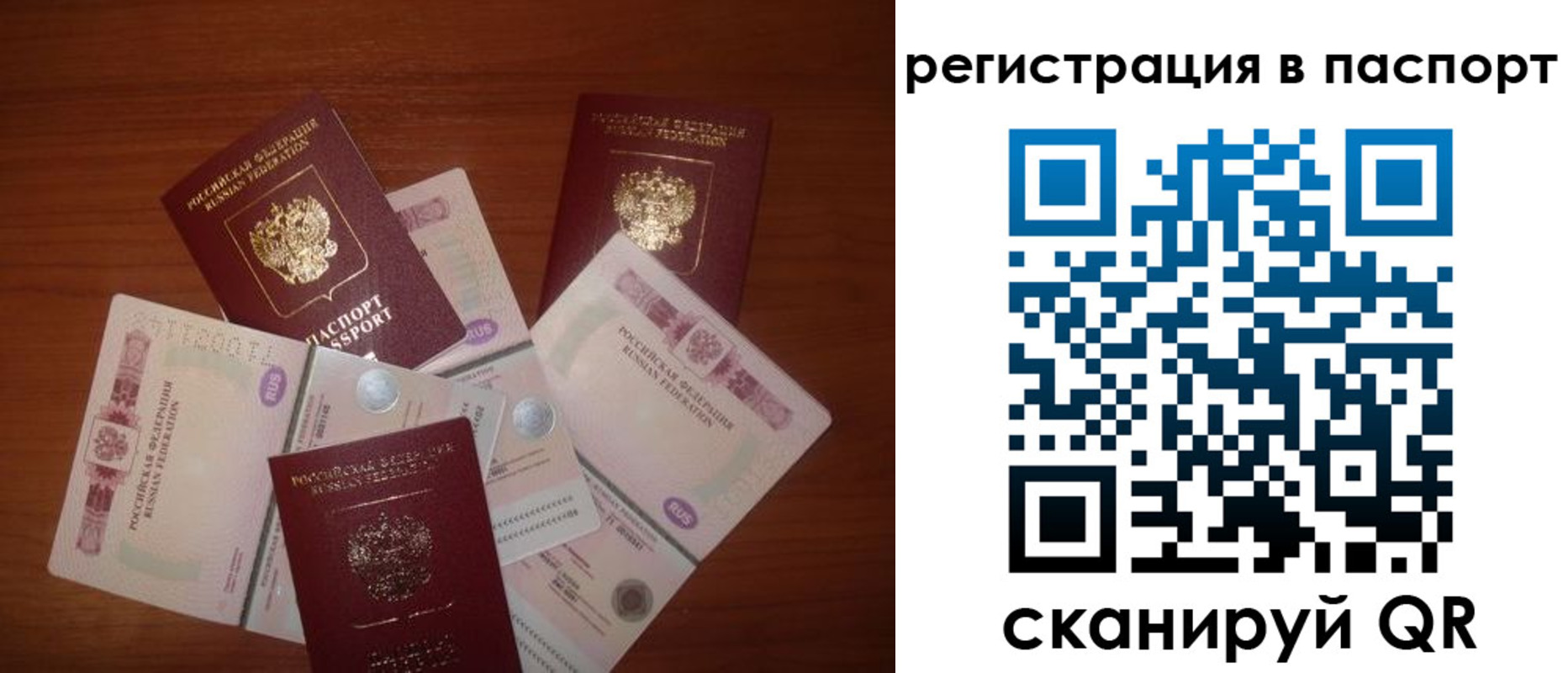 временная регистрация поиск в Чкаловске