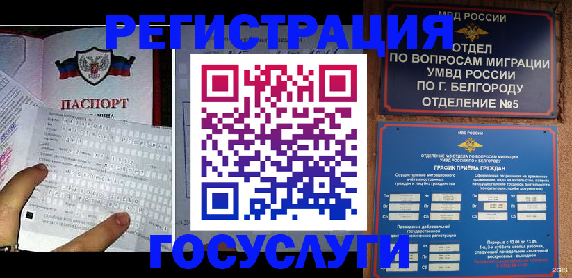 временная регистрация в квартире в Чкаловске